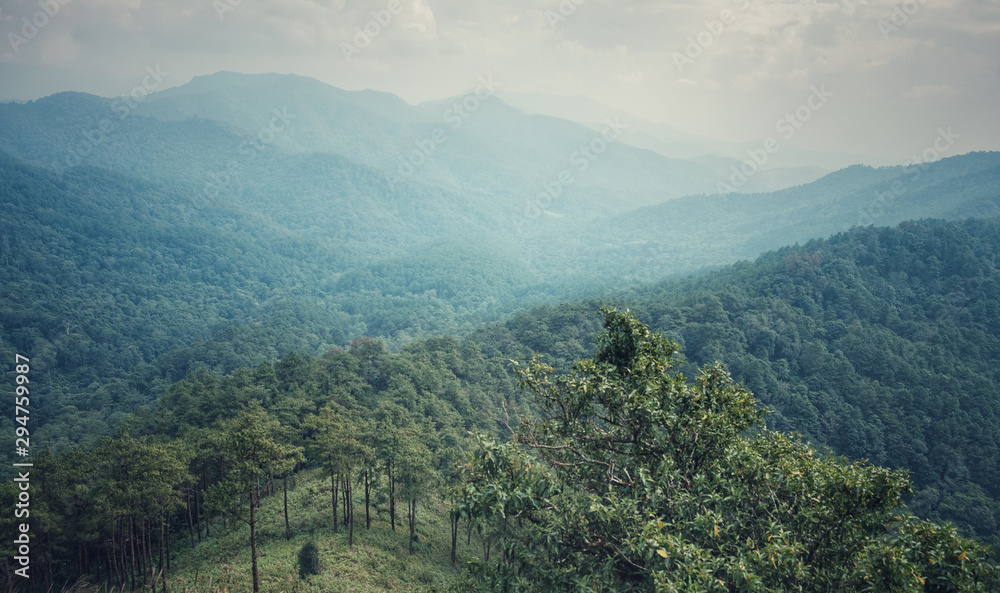 Natural green mountains bright sky. At Doi Pha Khao, Chiangmai in Thailand