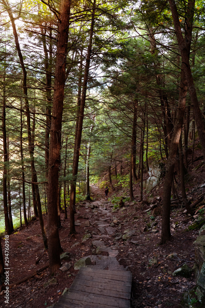 Stone staircase in dark forest with light coming from the top. Unrecognizable Couple climbing up in the distance. Concepts of a path, hope, pathway, journey