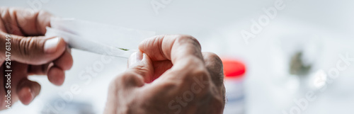 Konstfotografi panoramic shot of man rolling blunt with medical cannabis