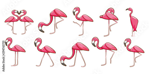 flamingo vector set clipart design