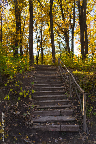 Fototapeta Naklejka Na Ścianę i Meble -  Autumn landscape. Old staircase in the park
