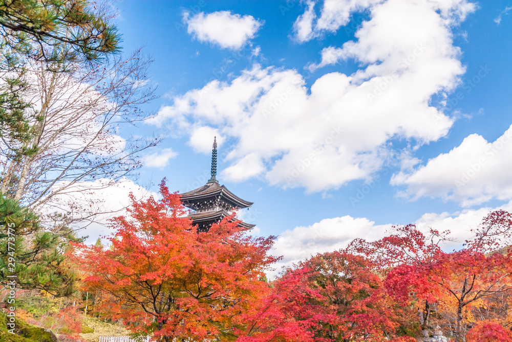 秋色の定義さん