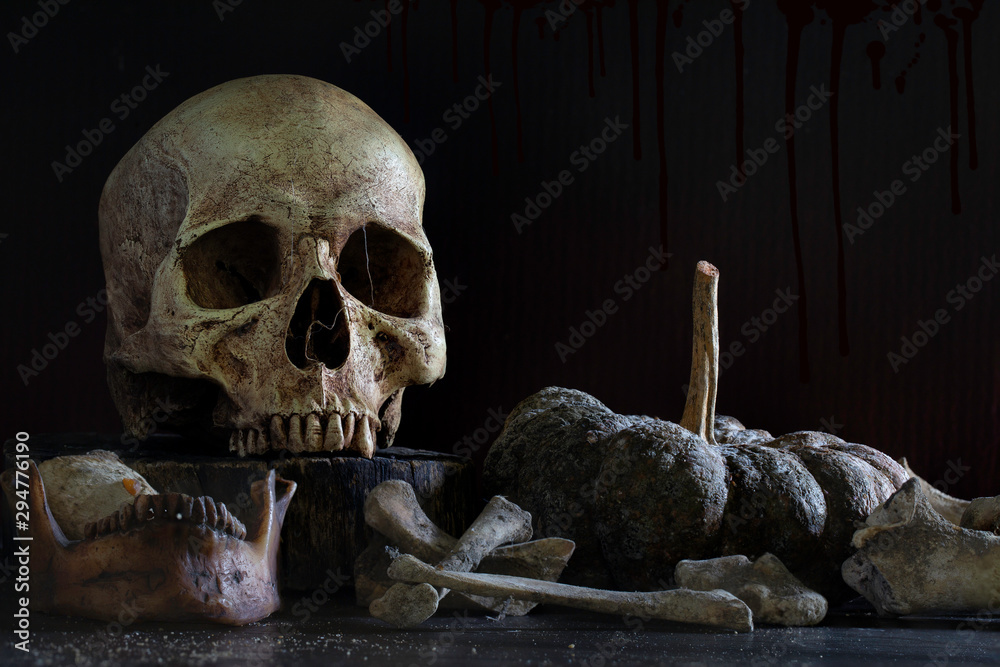 Old skull with pile of bone and rotten pumpkin on dark background and dark wall which has blood stains