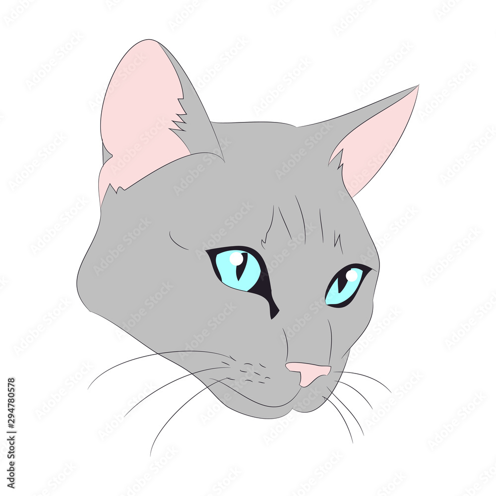 cat portrait, vector, white background