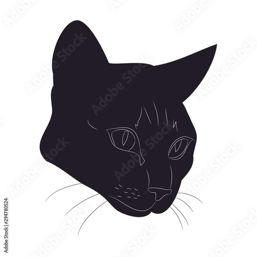 vector illustration of cat portrait, drawing silhouette, vector,