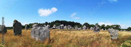 paysage de Bretagne - alignements de carnac