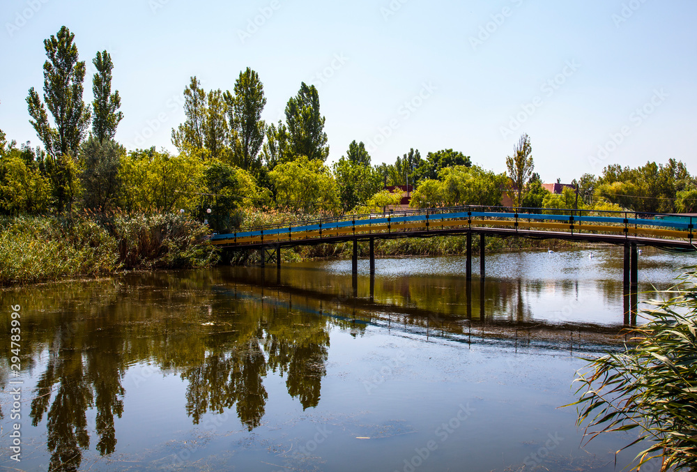 Footbridge over the pond