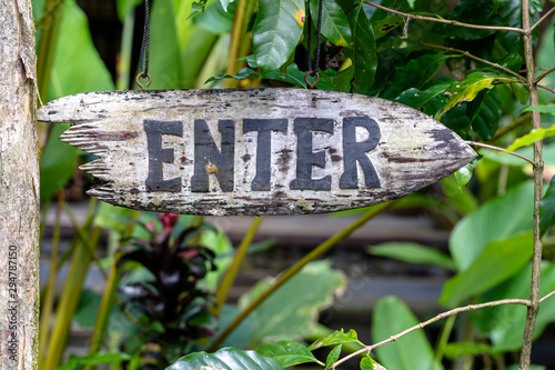 Text enter on a wooden board in a rainforest jungle of tropical Bali island, Indonesia. Enter wooden sign inscription in the asian tropics.