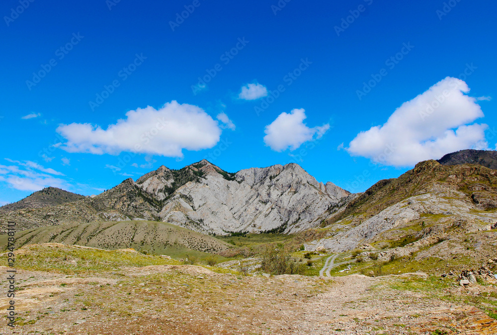 Fototapeta premium Landscape. Mountains, blue sky with clouds, forest, river. Beautiful background. Altai journey.