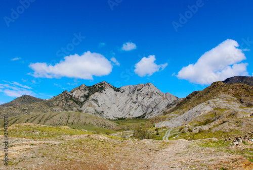 Landscape. Mountains, blue sky with clouds, forest, river. Beautiful background. Altai journey.