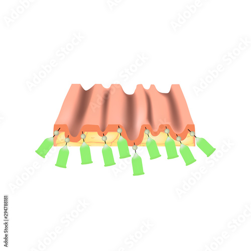 Mesotherapy Threads Lifting. threads for facelift. The structure of the skin. Wrinkles. Infographics. Vector illustration on isolated background.