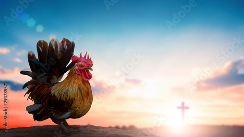 Photo Peter denies Jesus concept: rooster on blurred beautiful sunrise sky with cross