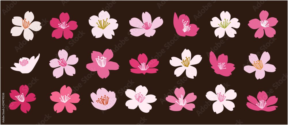 Set of 21 cherry blossom flowers vector illustration on brown background - Sakura 桜の花のベクター素材 Set of 21 cherry blossom flowers vector illustration on brown background - Sakura 桜の花のベクター素材