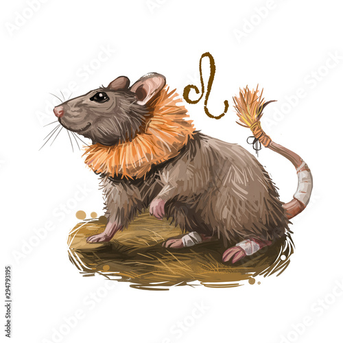 Leo creative digital illustration of astrological sign. Rat or mouse symboll of 2020 year signs in zodiac. Horoscope fire element. Logo sign with lion head. Graphic design clip art for web and print. photo