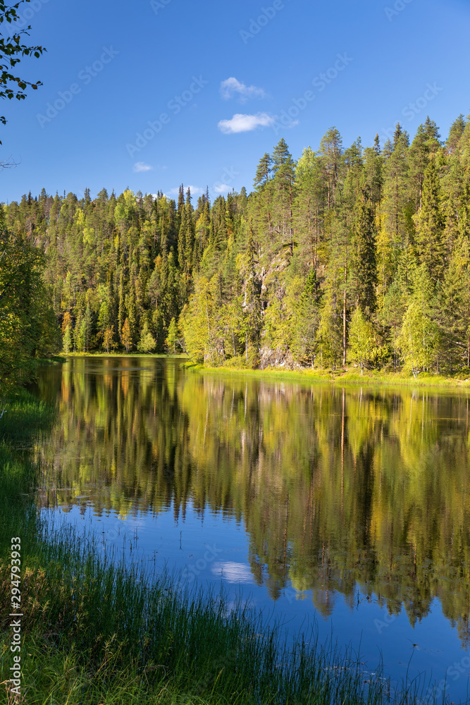 Fall colors in Oulanka National Park, Kuusamo, Finland