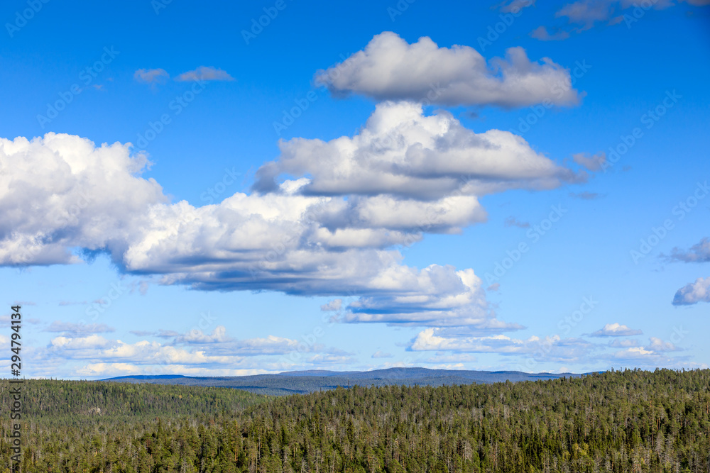 Sky and trees in Oulanka National Park, Kuusamo, Finland