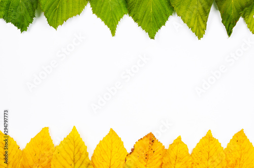 Autumn composition indoor on paper white background .Frame of rusty orange and green fresh leaves with center copy space for text . Top view, flat lay .