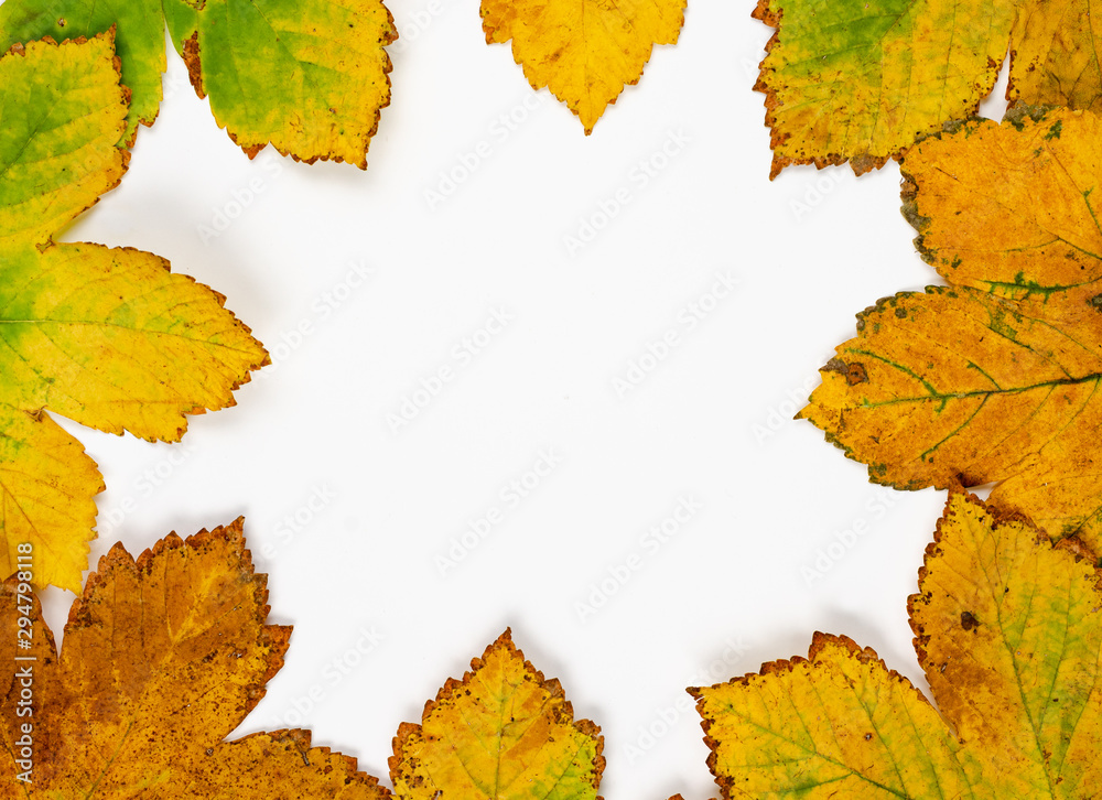Autumn composition indoor on paper white background Round frame of rusty oak orange leaves having center copy space for text . Top view, flat lay , copy space . Autumn composition indoor on paper white background Round frame of rusty oak orange leaves having center copy space for text . Top view, flat lay , copy space .