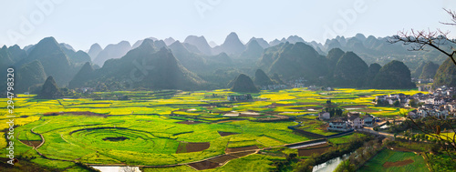 Panoramic view of Rapeseed flower field and villages at Wanfenglin  National Geological Park (Forest of Ten Thousands Peaks), China