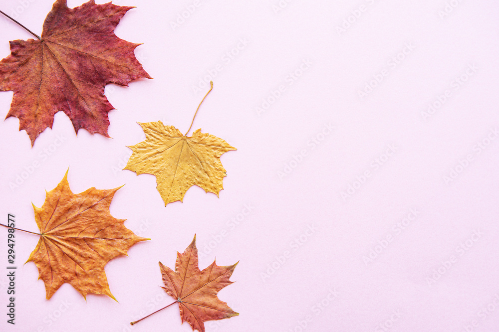 Autumn composition with leaves Autumn composition with leaves