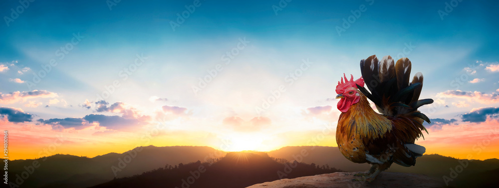 International Mountain Day concept: silhouette chicken on sunrise background  - obrazy, fototapety, plakaty 