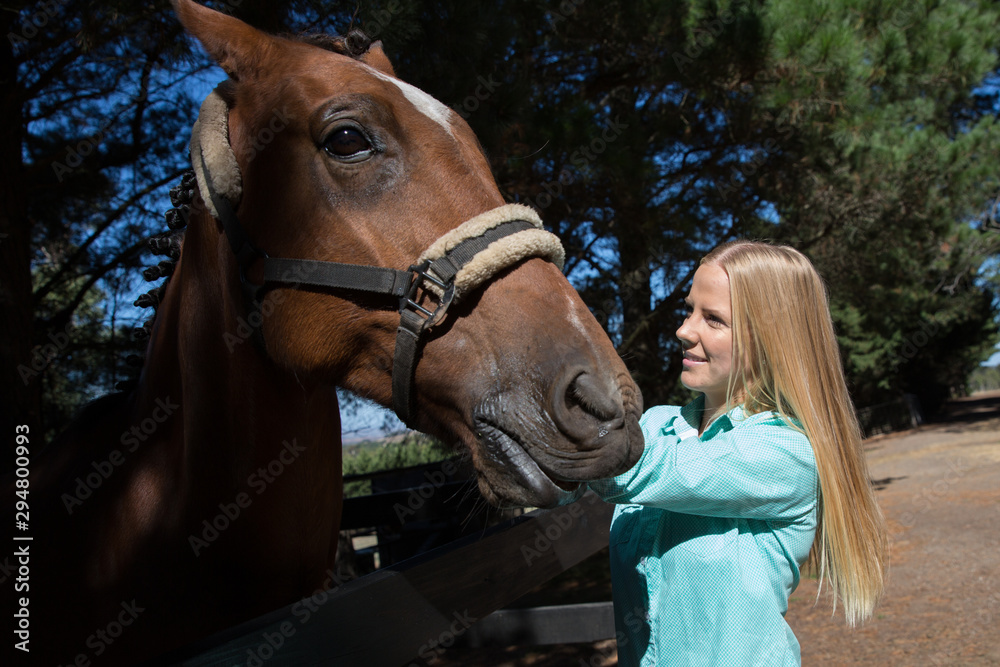 Fototapeta premium Farm Life with the Horse