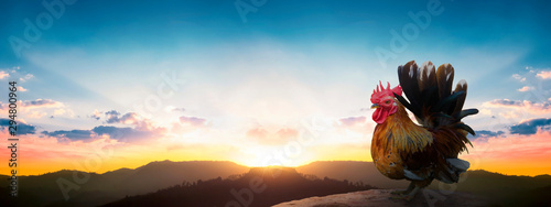 Schilderij op canvas International Mountain Day concept: silhouette chicken on sunrise background