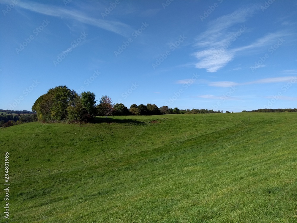 Obraz premium Waldrand