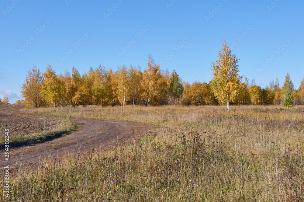 Autumn landscape in fine weather of the southeast of the Moscow region