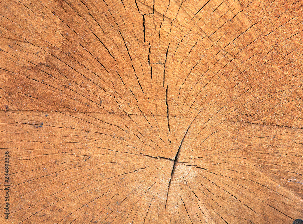 Close up texture of old sawn wood with annual rings, selective focus