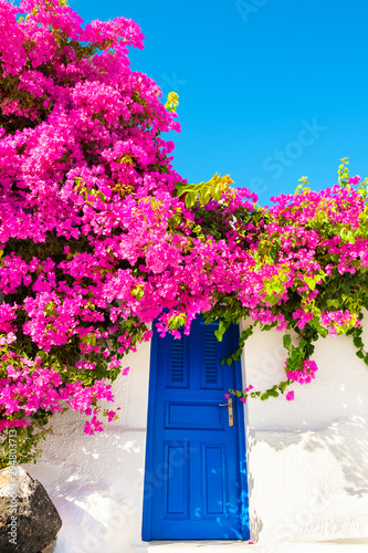 Fototapeta Naklejka Na Ścianę i Meble -  Traditional greek architecture and pink flowers on Santorini island, Greece.