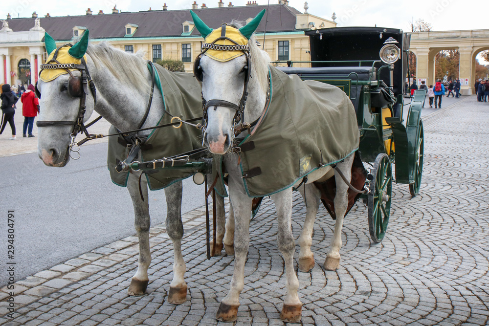 VIENNA, AUSTRIA - 22-10-2018: Horse - drawn carriage or Fiaker, popular tourist attraction, on Michaelerplatz and Hofburg Palace. VIENNA, AUSTRIA - 22-10-2018: Horse - drawn carriage or Fiaker, popular tourist attraction, on Michaelerplatz and Hofburg Palace.