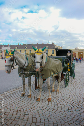 Photography VIENNA, AUSTRIA  - 22-10-2018: Horse - drawn carriage or Fiaker, popular tourist attraction, on Michaelerplatz and Hofburg Palace