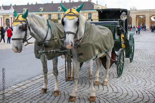 VIENNA, AUSTRIA  - 22-10-2018: Horse - drawn carriage or Fiaker, popular tourist attraction, on Michaelerplatz and Hofburg Palace.