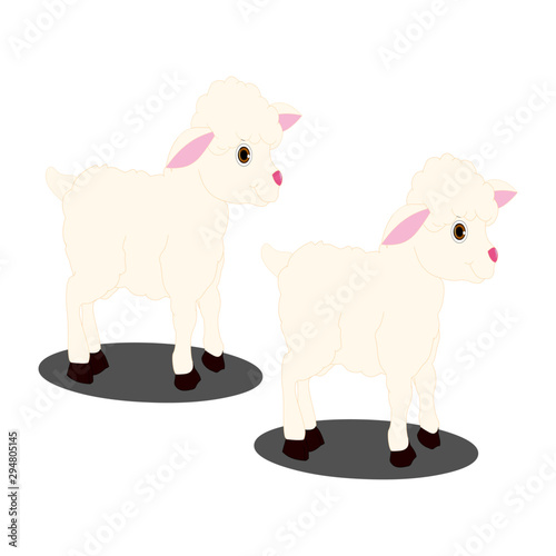 Two Lambs - Cartoon Vector Image