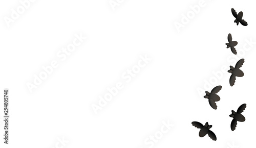 Halloween Karte mit vielen Fledermäusen von rechts auf weißem Hintergrund