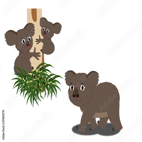 Grey Koala Bear with Two Baby Koala Bears - Cartoon Vector Image