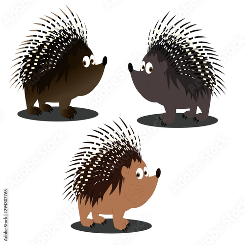 Porcupine Character Grey and Brown - Cartoon Vector Image