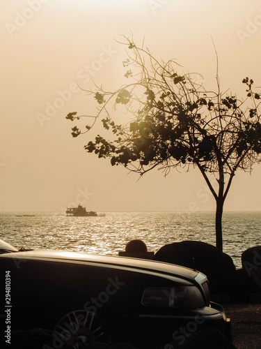 silhouette of tree on the beach with car on foreground and a tiny boat far off