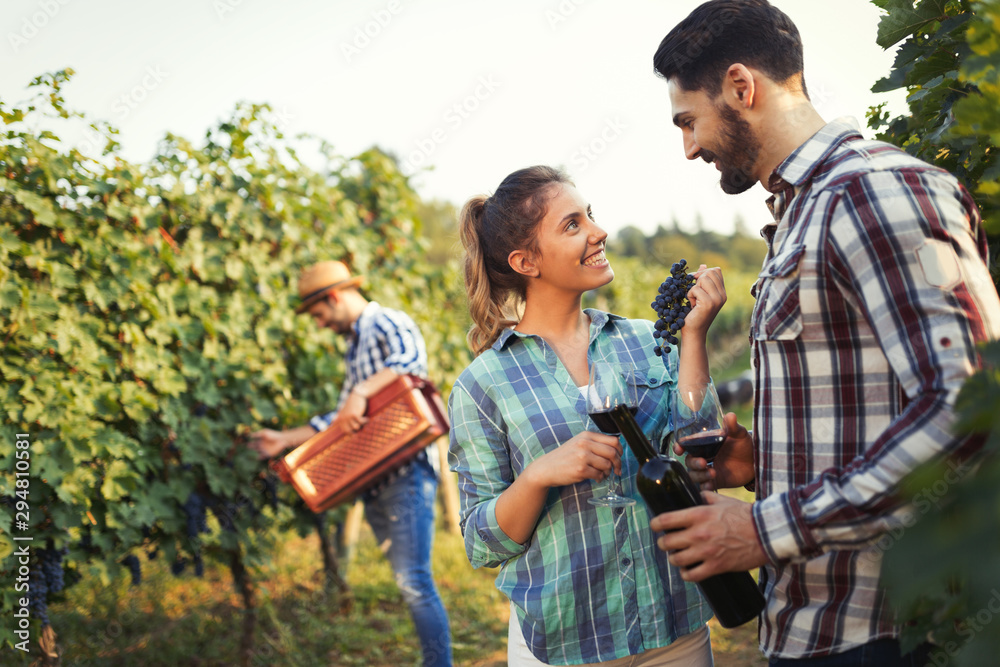 Naklejka premium Woman and man in vineyard drinking wine