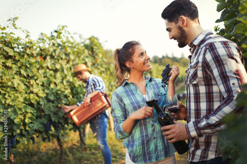 Woman and man in vineyard drinking wine
