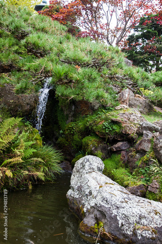 jardín botánico chino en San Francisco