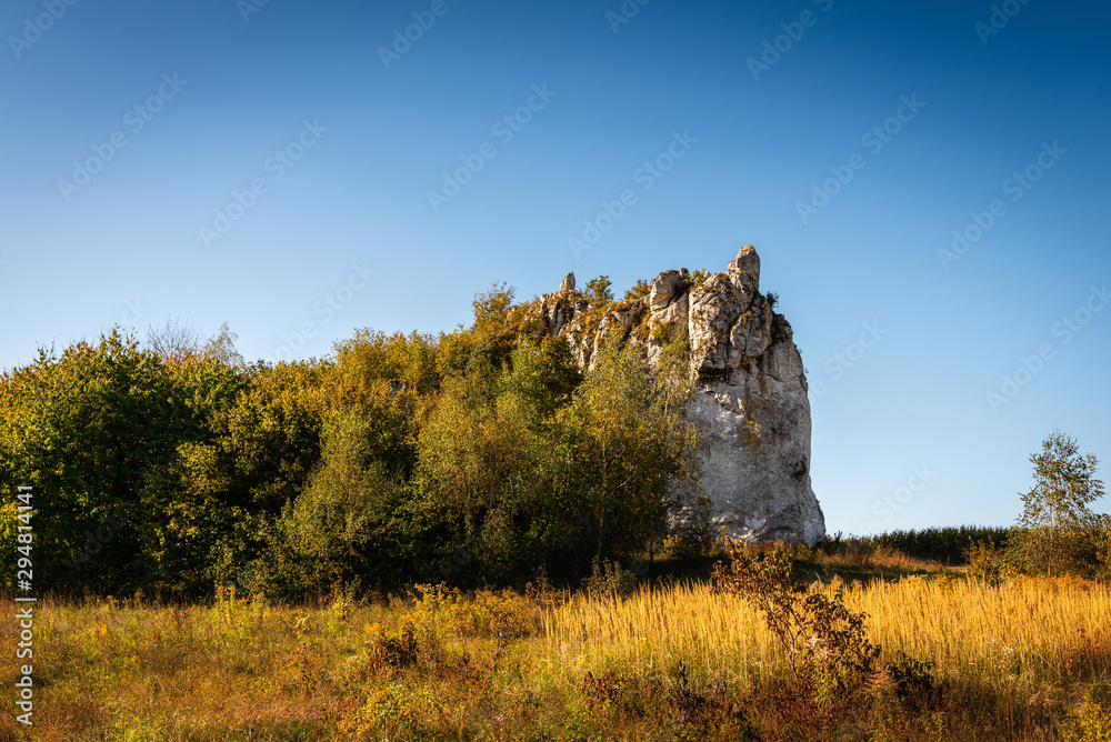 Autumn view of the lonely rocky island situated among a grassy meadow near Krakow. Beautiful highlands landscape against the clear blue sky.