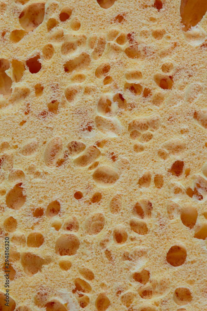 sponge structure background texture sponge structure background texture