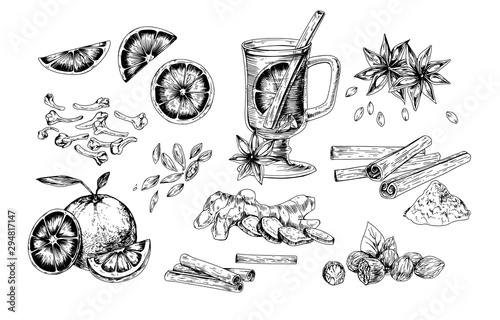 Mulled wine and spices realistic vector illustrations set. Flavoring seeds and herbs hand drawn isolated cliparts pack. Winter traditional hot drink ingredients. Ginger root, oranges, star anise.