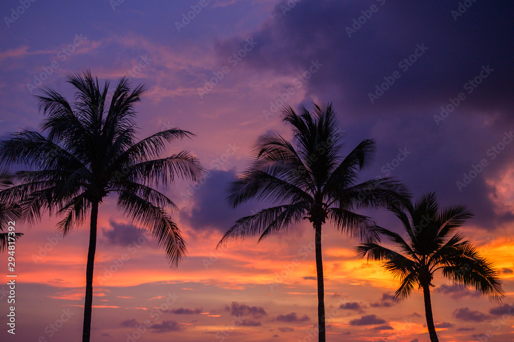 silhouette of coconut tree at sunset sky background.