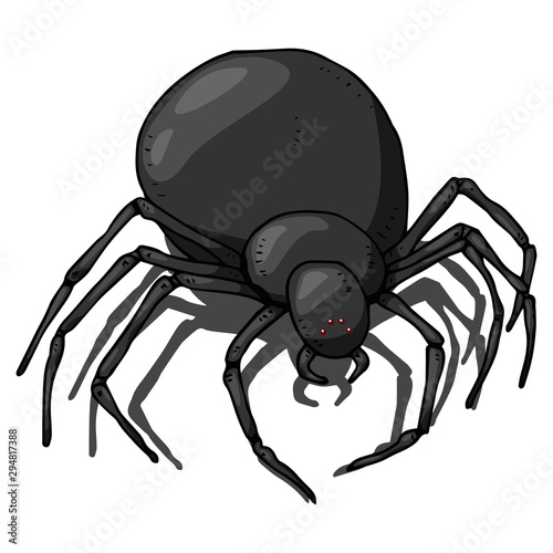 Spider icon. Vector illustration of a scary spider. Spider web hand drawn.