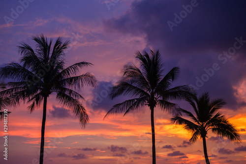 Fototapeta Naklejka Na Ścianę i Meble -  silhouette of coconut tree at sunset sky background.