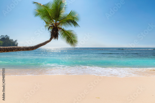 Fototapeta Naklejka Na Ścianę i Meble -  Tropical Beach. Beautiful beach with palms and turquoise sea in Jamaica island.	
