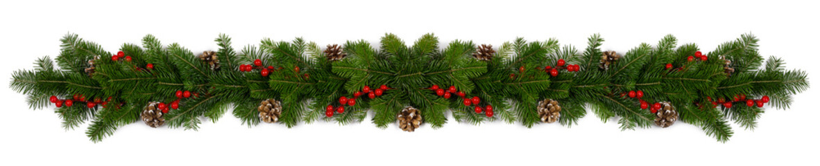 Christmas frame of tree branches